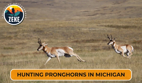 Hunting Pronghorns in Michigan
