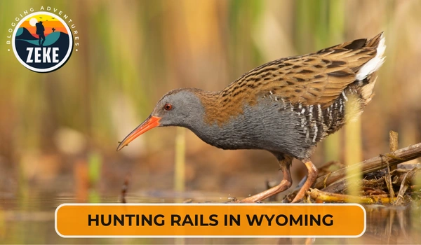 Hunting Rails in Wyoming