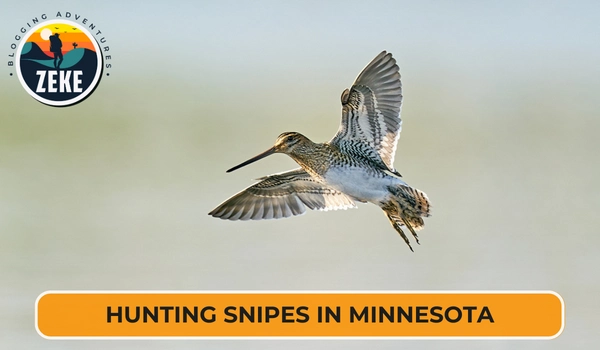 Hunting Snipes in Minnesota