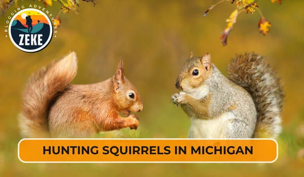 Hunting Squirrels in Michigan