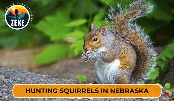 Hunting Squirrels in Nebraska