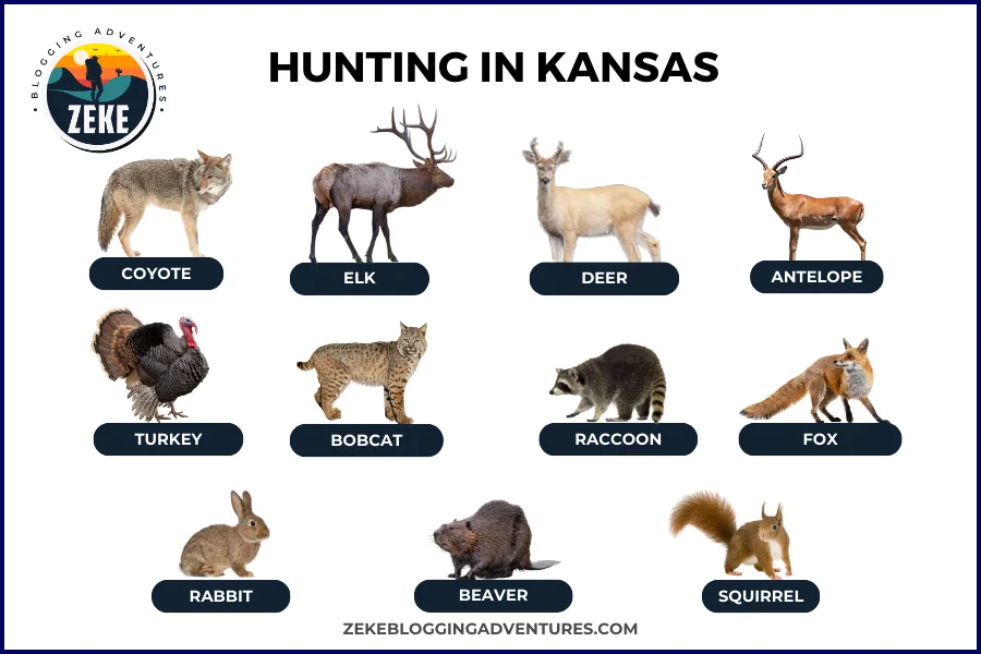 Hunting in Kansas