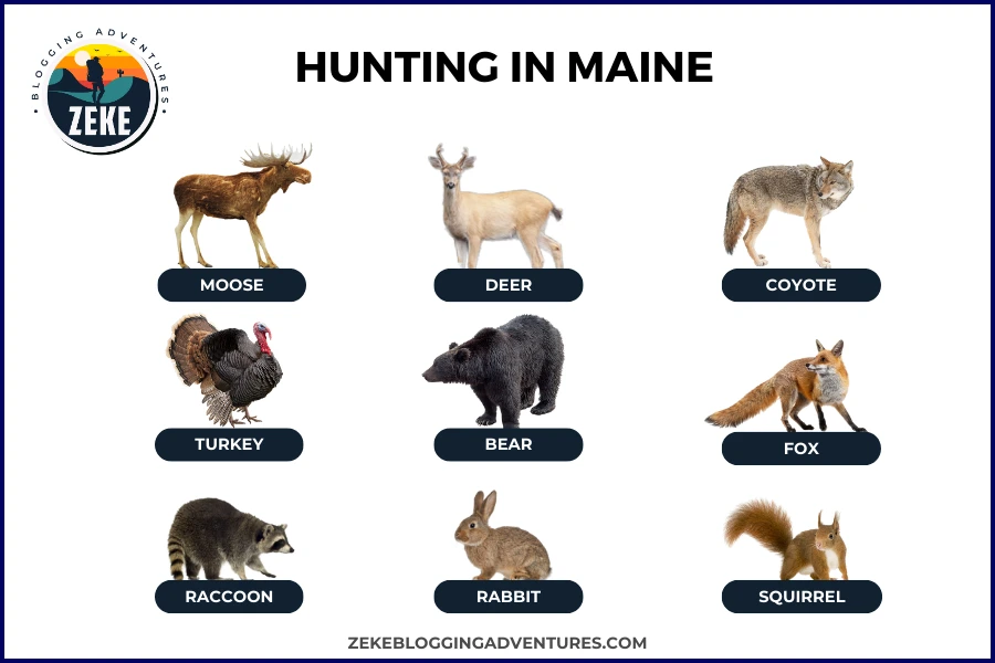 Hunting in Maine