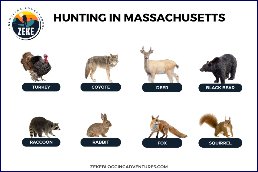 Hunting in Massachusetts