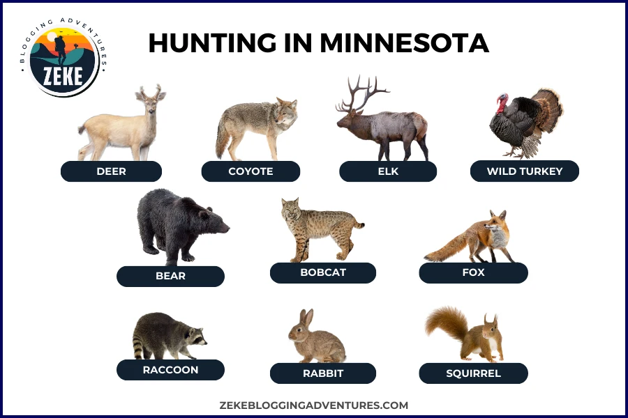 Hunting in Minnesota