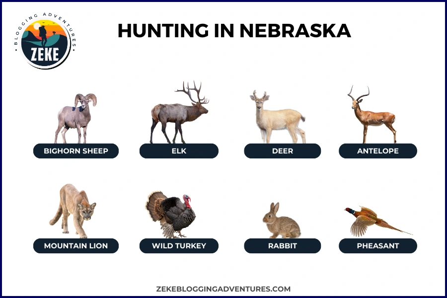 Hunting in Nebraska