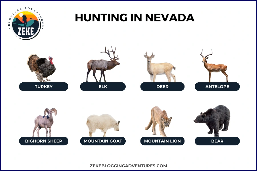 Hunting in Nevada