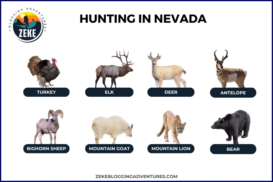 Hunting in Nevada [Season Guide 2023] Zeke Adventure Blog