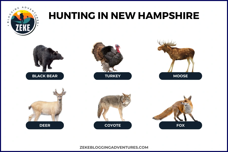 Hunting in New Hampshire