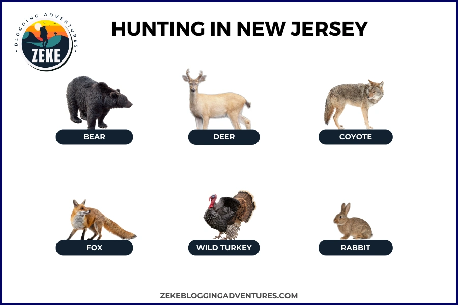 Hunting in New Jersey