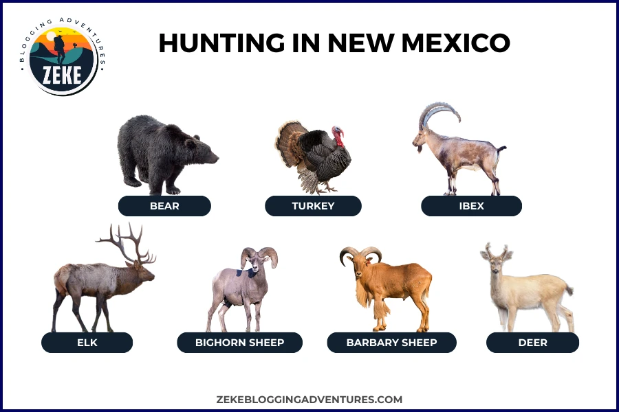 Hunting in New Mexico