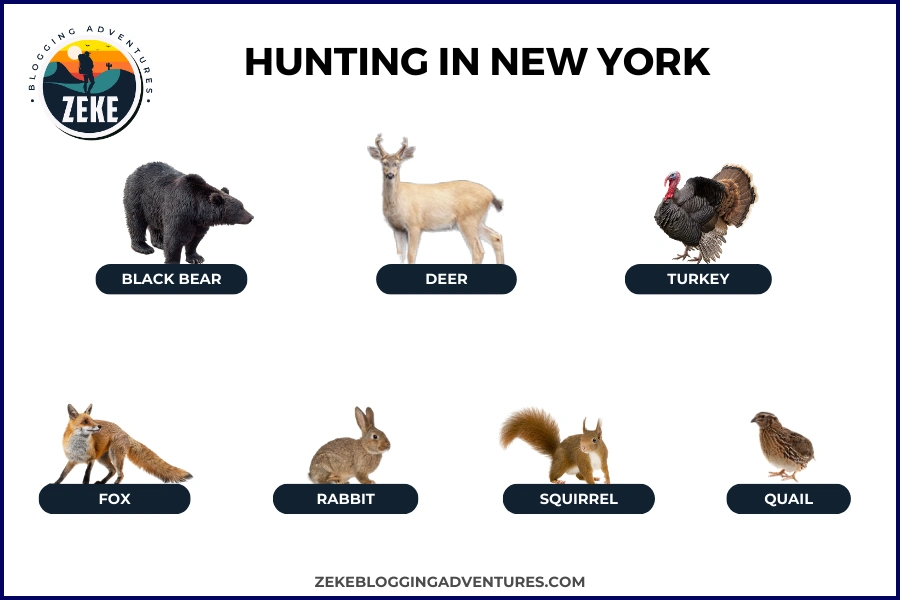 Hunting in New York