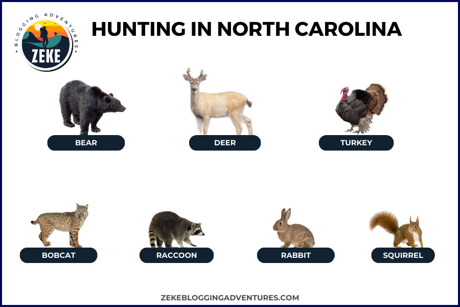 Hunting in North Carolina