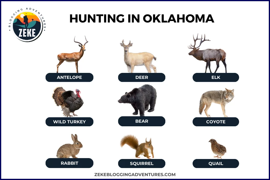 Hunting in Oklahoma
