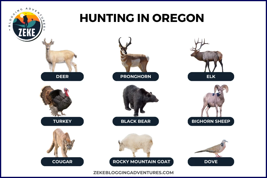 Hunting in Oregon