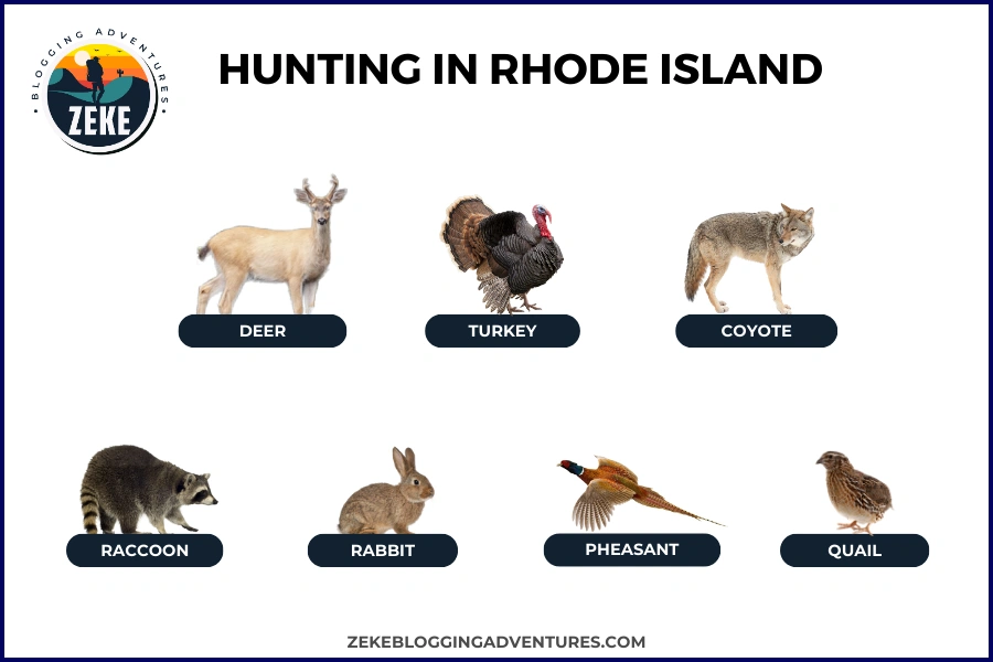 Hunting in Rhode Island