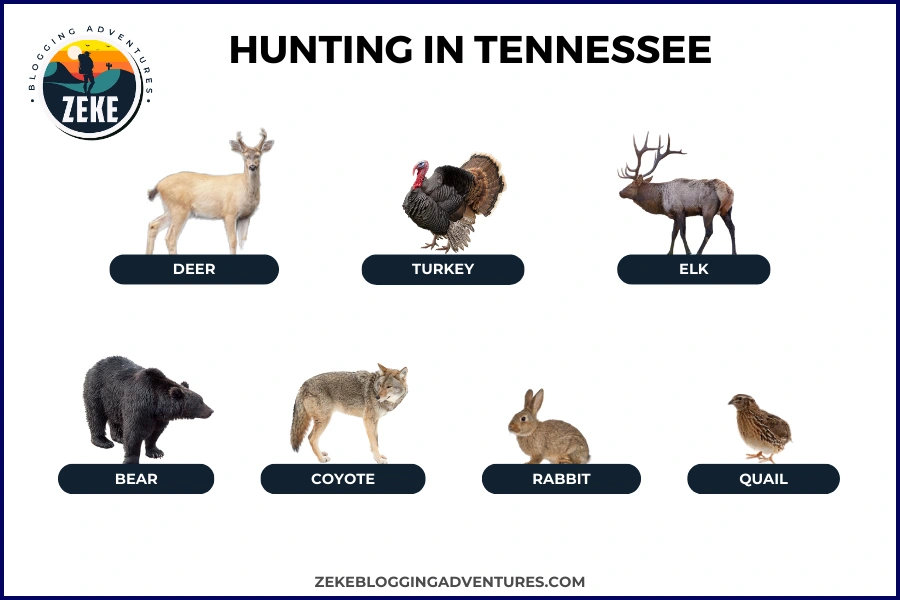Hunting in Tennessee