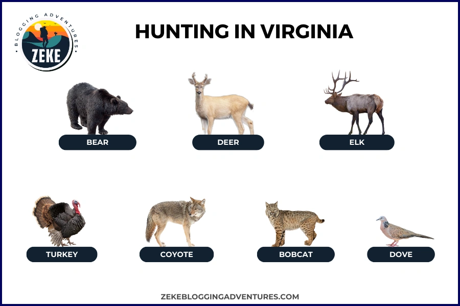 Hunting in Virginia