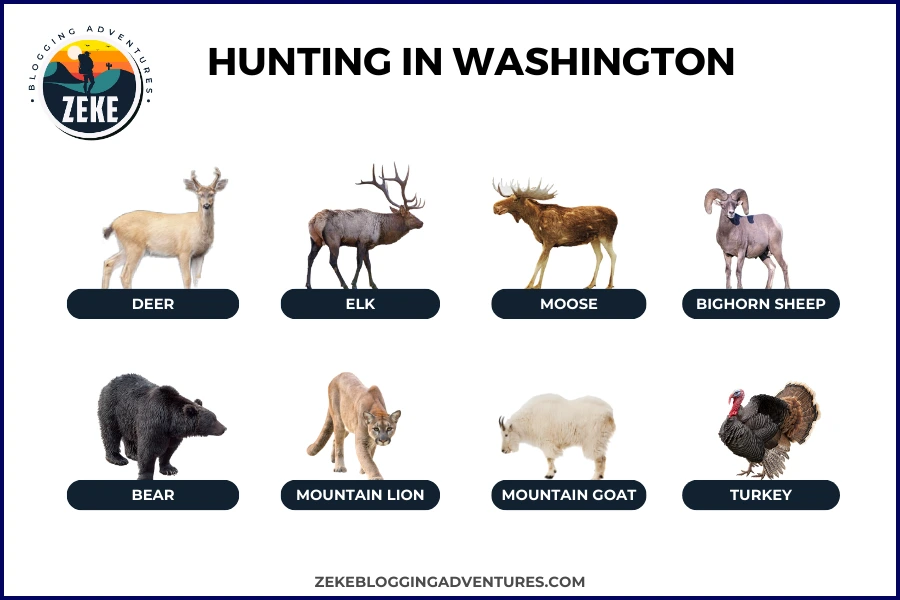 Hunting in Washington