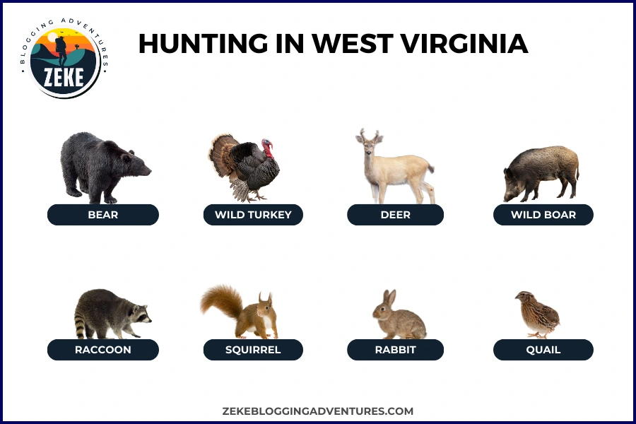 Hunting in West Virginia