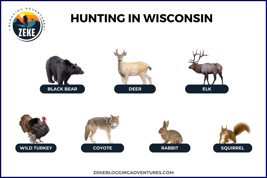 Hunting in Wisconsin