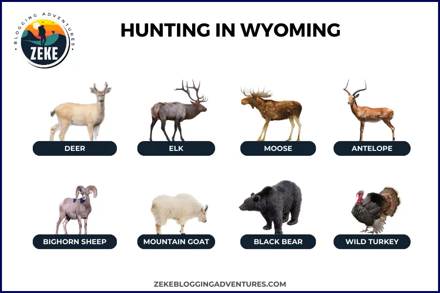 Hunting in Wyoming